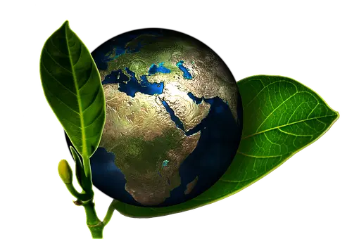 Eco-Friendly-Hand-Wash--in-Mesa-Arizona-Eco-Friendly-Hand-Wash-2599597-image