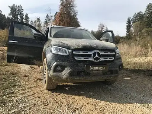 Bug-And-Tar-Removal--in-Albuquerque-New-Mexico-bug-and-tar-removal-albuquerque-new-mexico.jpg-image