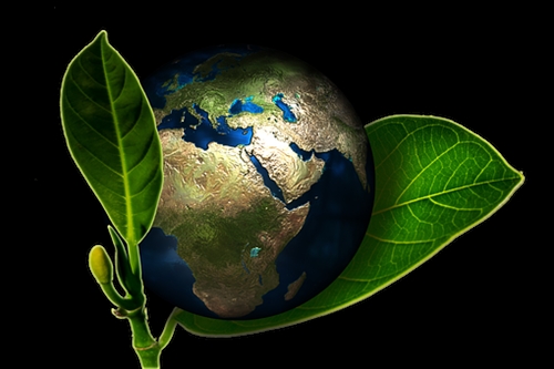 Eco-Friendly-Hand-Wash--in-Omaha-Nebraska-eco-friendly-hand-wash-omaha-nebraska.jpg-image